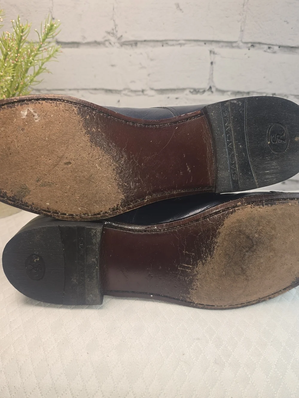 Stacy Adams polished leather